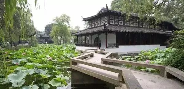 最美不过江南，苏式庭院迷醉了多少文人墨客