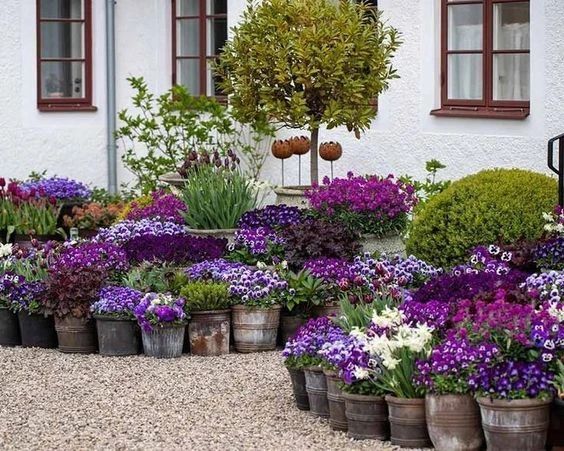 容器花园创意：在小空间种植植物，看看有合适你的吗？