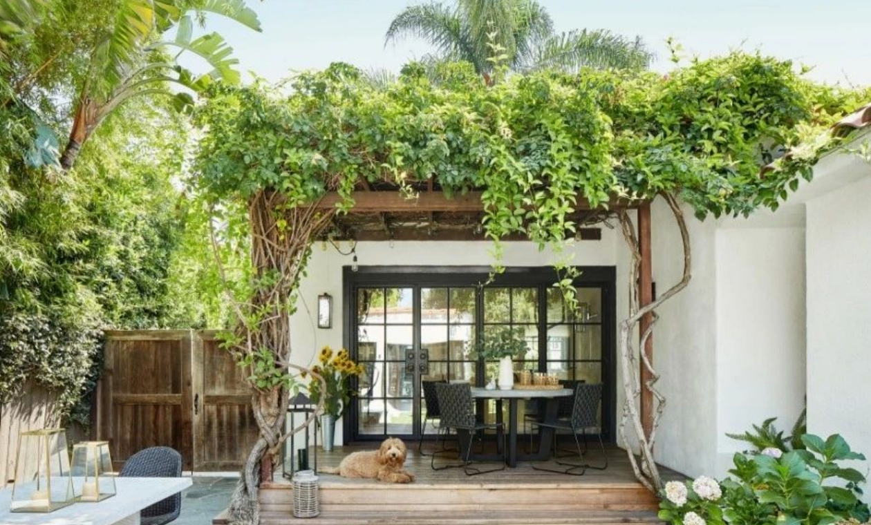 如何创建一个神奇的月光花园