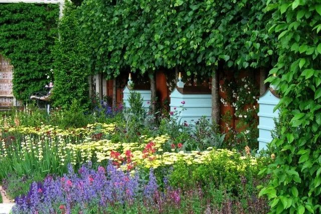 英式花园营造要点，助力你的自然风花园梦