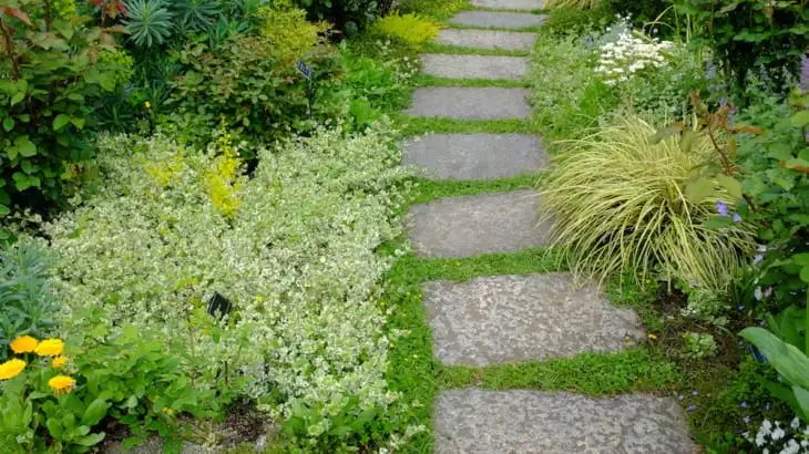 你的院子，怎能少了精致的花园小径