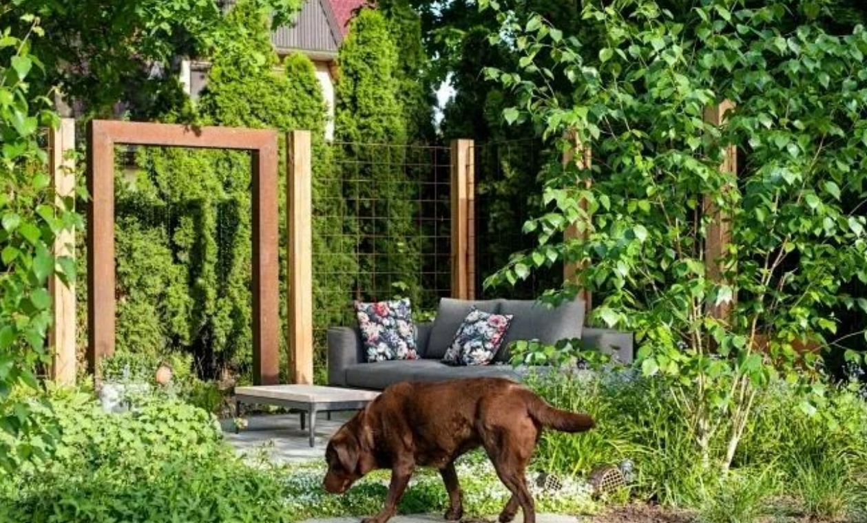 宠物友好型花园设计：让毛孩子安全撒欢的细节