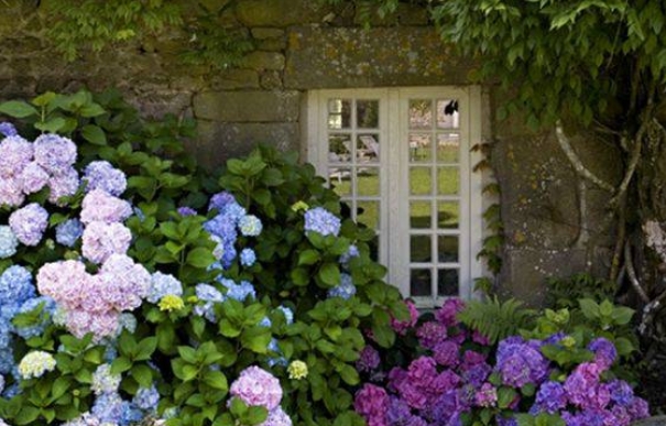花园里就是一定要种满花啊……许你繁花似锦