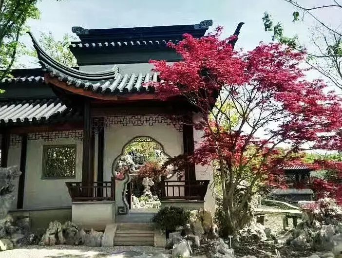 疏密曲直，起承转合，中式院落布局的艺术