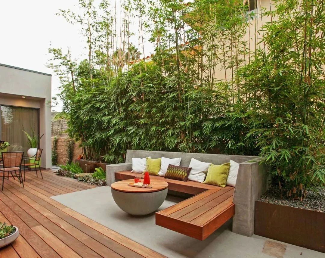 现代庭院也能有茂林修竹，种下一片清幽秀丽