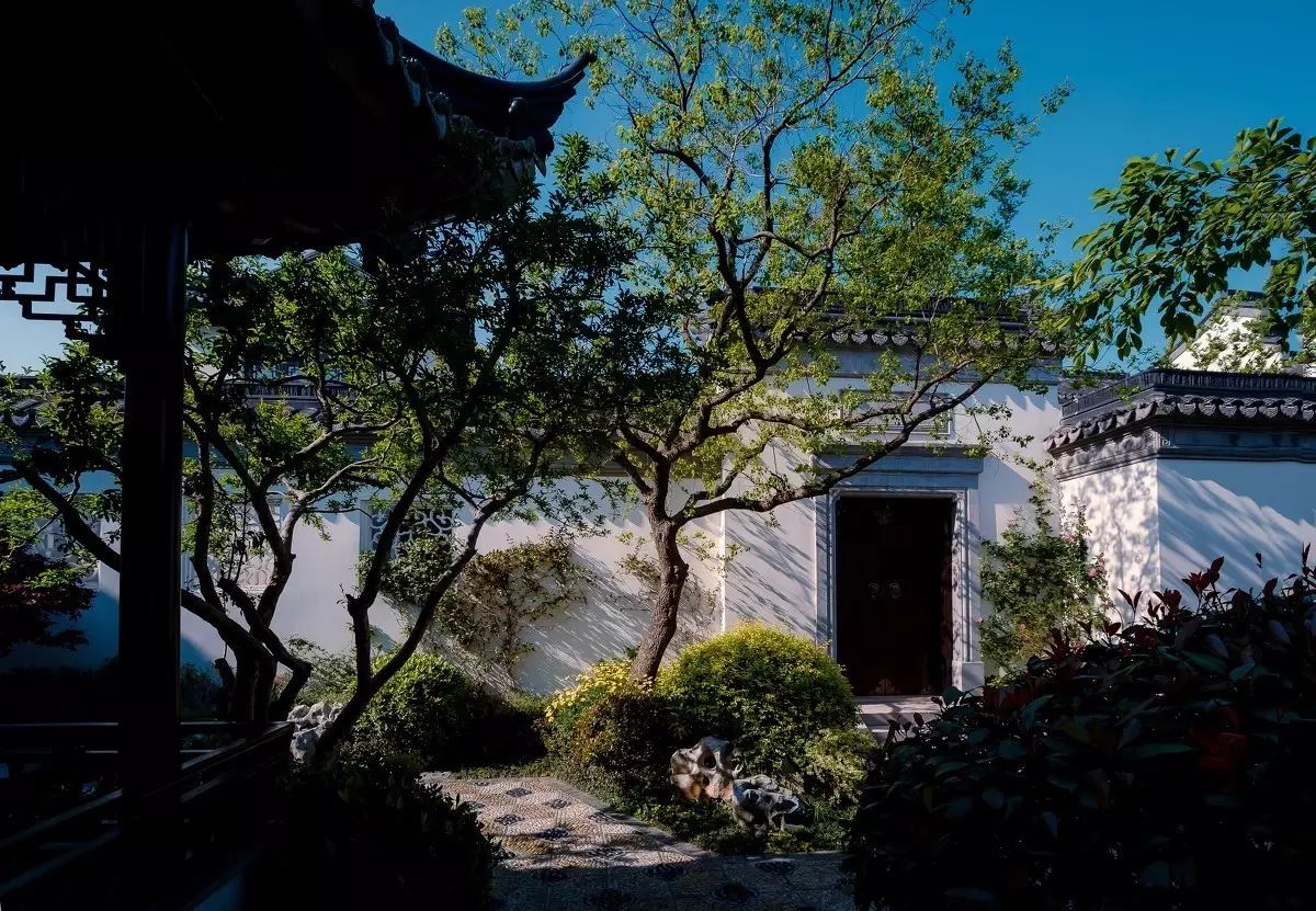 走进园林，方才知春色几许！