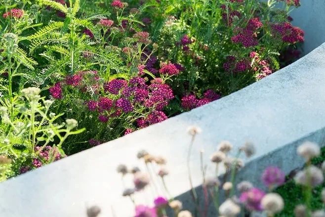 花境营造，只要用对了方法，其实没那么难