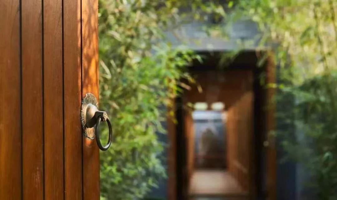 现代庭院也能有茂林修竹，种下一片清幽秀丽