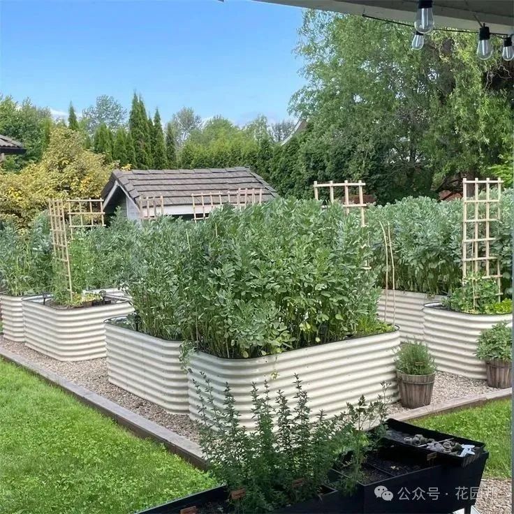 建造花园应该关注哪些问题？