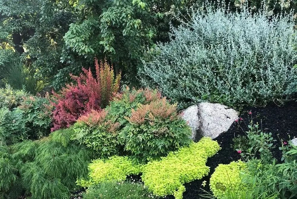 用叶子设计花园