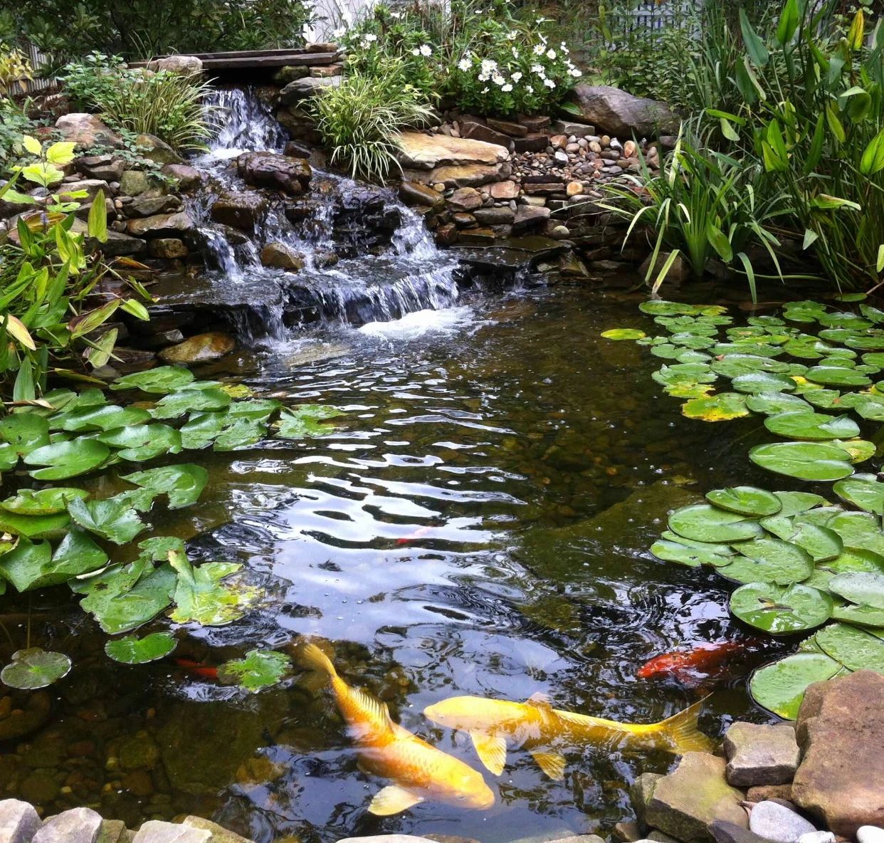 庭院水景作为氛围感的象征，鱼池必不可少！