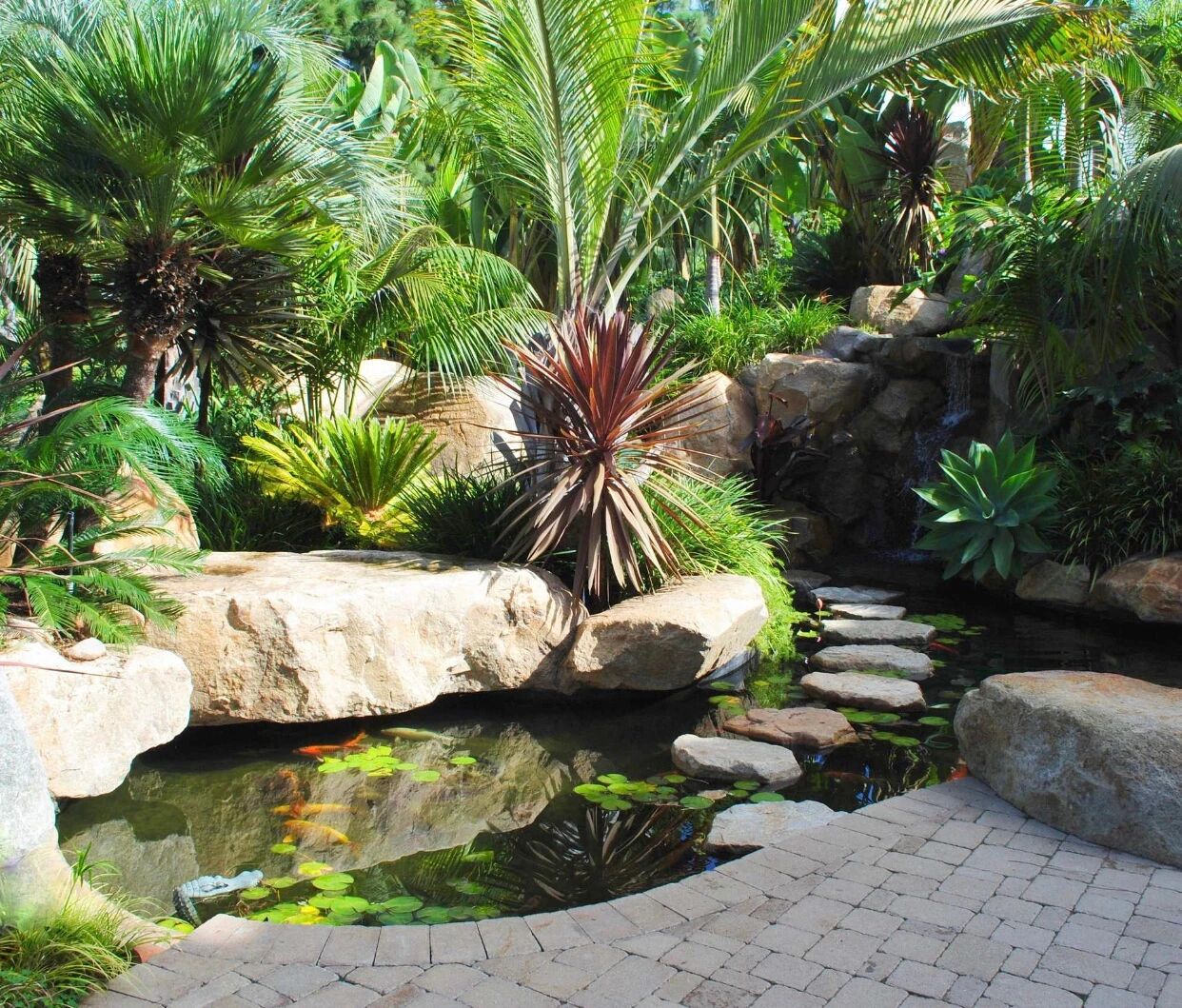 花园鱼池该如何打造？看这一篇就够了